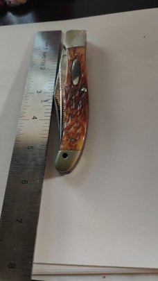 Western folding knife