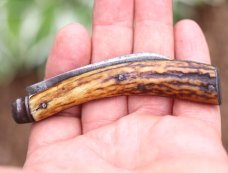 Saynor pruning knife from Cooke & Ridal, Sheffield UK. Stag handles. 135 year old.