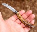 Saynor pruning knife from Cooke & Ridal, Sheffield UK. Stag handles. 135 year old.