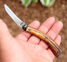 Saynor pruning knife from Cooke & Ridal, Sheffield UK. Stag handles. 135 year old.