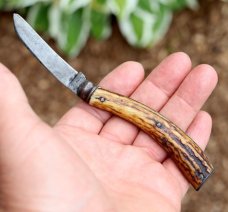 Saynor pruning knife from Cooke & Ridal, Sheffield UK. Stag handles. 135 year old.