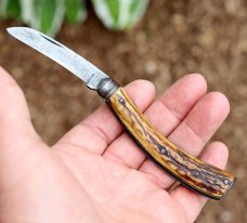 Saynor pruning knife from Cooke & Ridal, Sheffield UK. Stag handles. 135 year old.