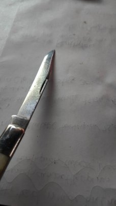 Union Cut Co