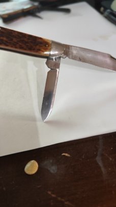 Cattaraugus Cutlery Co 