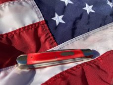 Bulldog Large 5 &1/2" Display Trapper Knife w Red Bone Handles & Standing Pit Bull Dog Blade Etch