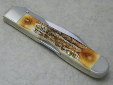 Case XX USA 2021 Bone Stag 6.5111 1/2 Cheetah Swing Guard Lockback Knife in Box