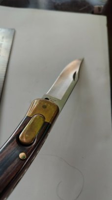 Buck Automatic