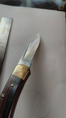 Buck Automatic