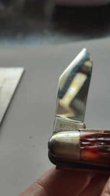 Robeson Shuredge USA