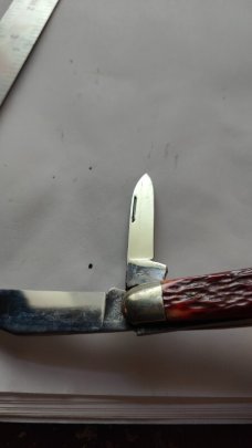 Robeson Shuredge USA