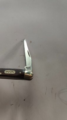 Buck