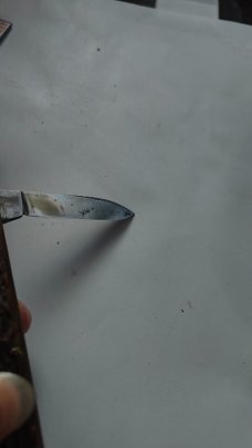 Remington R183