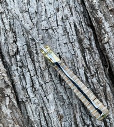 BUCK 113 ** YELLOWHORSE CUSTOM MAMMOTH TOOTH ELK TRACKS FIXED BLADE