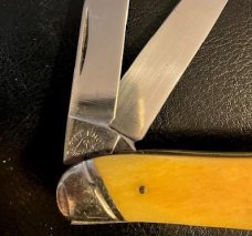 PRIMBLE BELKNAP PINE KNOT