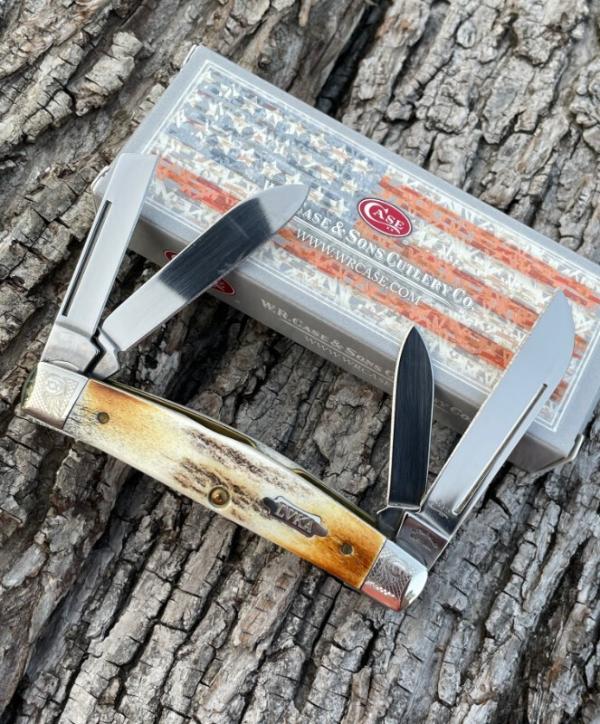 CASE XX ** ENCYCLOPEDIA SET STAG 052 CONGRESS