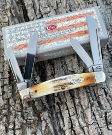CASE XX ** ENCYCLOPEDIA SET STAG 052 CONGRESS