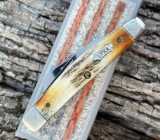 CASE XX ** ENCYCLOPEDIA SET STAG 052 CONGRESS