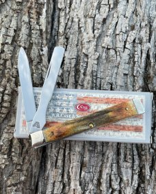 CASE XX ** ENCYCLOPEDIA SET STAG DOCTORS KNIFE