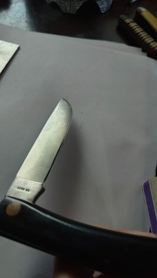 Case XX SS