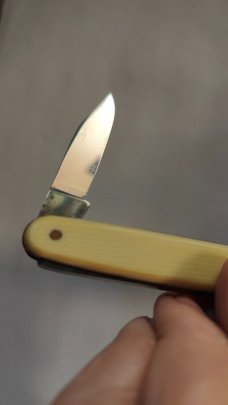 Case Office Knife