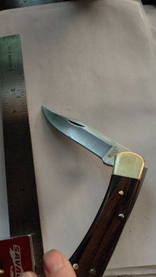Buck