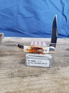 10 Dot Case XX - R51165 SS Red Stag Pocket Hunter - 2020