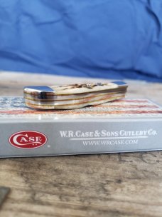 Case XX - Pilot Test Run - 62165 SS - Amber Bone Pocket Hunter - 2020