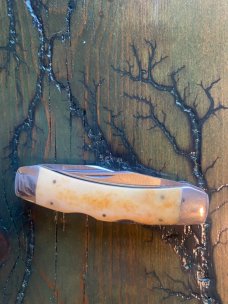 Parker double Texas lockhorn bone lockback 