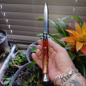 FRANK BELTRAME 11INCH SWIVEL BOLSTER COCOBOLO WOOD WITH BAYONET BLADE