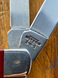 BEAR & SON MAROON STAG BONE MINI-TRAPPER FOLDING KNIFE