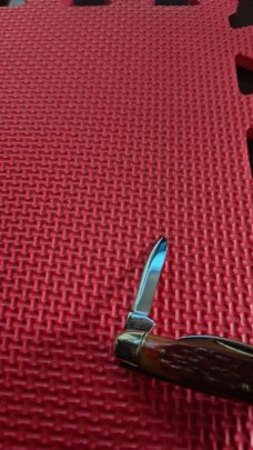 Robeson Shuredge USA