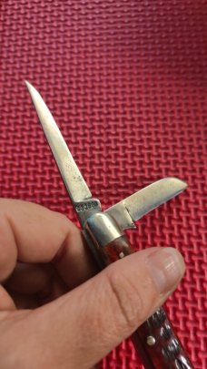 Robeson Shuredge USA
