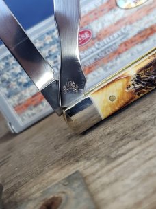 Case XX - Shepherd Hills Exclusive - Bone Stag Doctor's Knife 6.5285SP SS - 2018