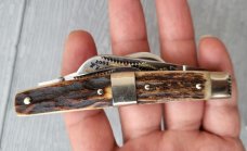 Rare Fight'n Rooster Congress Knife, Frank Buster Stag Cigar Band, Solingen Germany