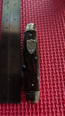Ulster Scout