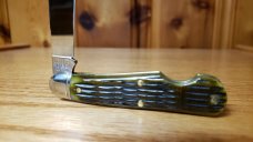 Great Eastern Cutlery 562123EO Avacado Jigged Bone Easy Open Northfield Carbon Steel NEW in the Tube