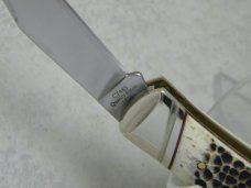 Colt CT 485 Bone "Keeping the Peace Since 1836" Muskrat Knife in Box