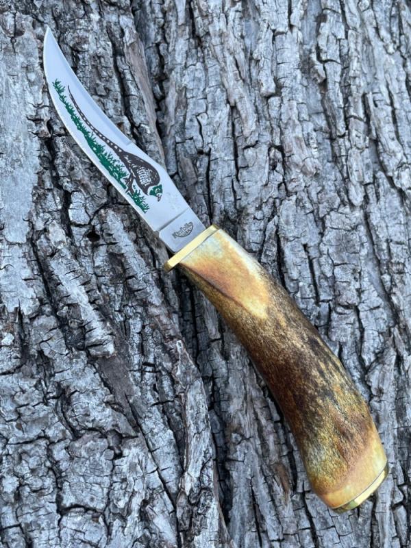 CASE XX ** ENCYCLOPEDIA SET STAG PHEASANT KNIFE