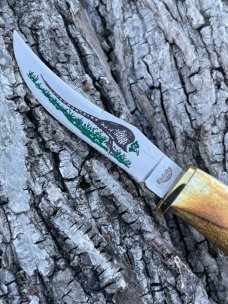 CASE XX ** ENCYCLOPEDIA SET STAG PHEASANT KNIFE