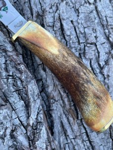 CASE XX ** ENCYCLOPEDIA SET STAG PHEASANT KNIFE