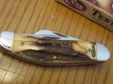 Case XX 2011 Stag Rancher CV  Sowbelly Pattern # TB5339 CV
