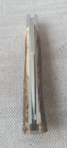 Pablo Castellani Trap..14C28N stainless steel..Stag scales...3 5/8" cld...coa.pouch