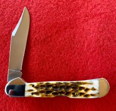  Case XX™ Jigged Amber Bone Mini Copperlock Stainless Pocket Knife