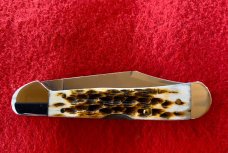  Case XX™ Jigged Amber Bone Mini Copperlock Stainless Pocket Knife