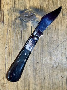 Taylor's Eye Witness Premium Barlow Clip with Buffalo Horn Scales and custom Back Spring Filing
