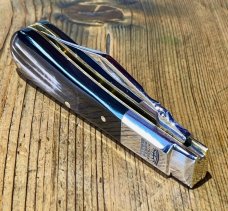 Taylor's Eye Witness Premium Barlow Clip with Buffalo Horn Scales and custom Back Spring Filing