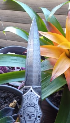 Muhammad Afaaq switchblade 