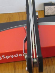 Spyderco  Autonomy 2 Pattern # C165GP2