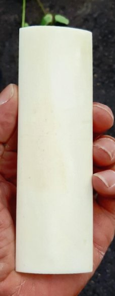 Camel Bone Knife Handle Blanks Pair