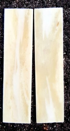 Bovine Bone Knife Handle Blanks Pair